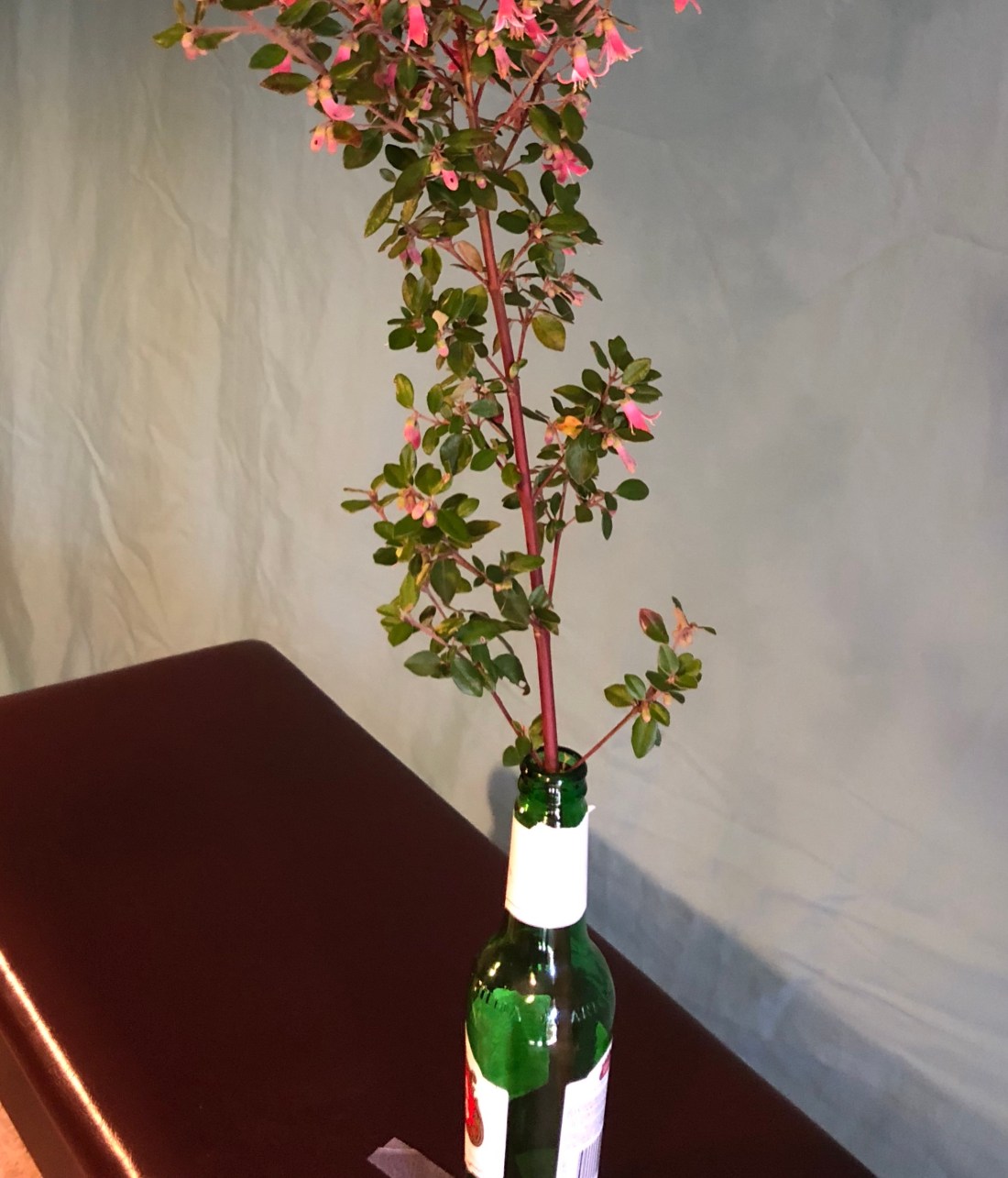 92DD85AC-2E1D-491A-8D12-984276875887