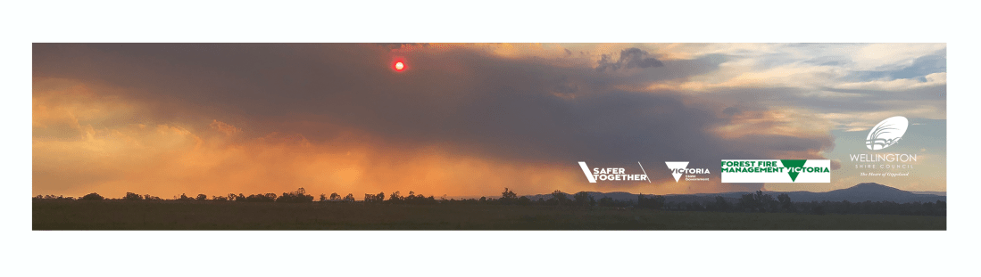 Fire in the Foothills letterhead footer